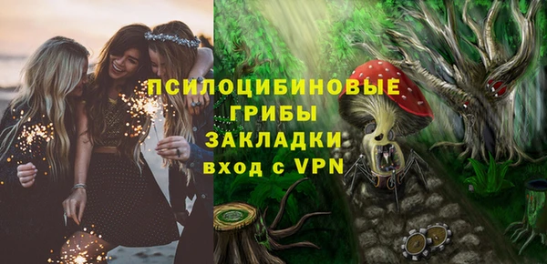 стафф Верхний Тагил